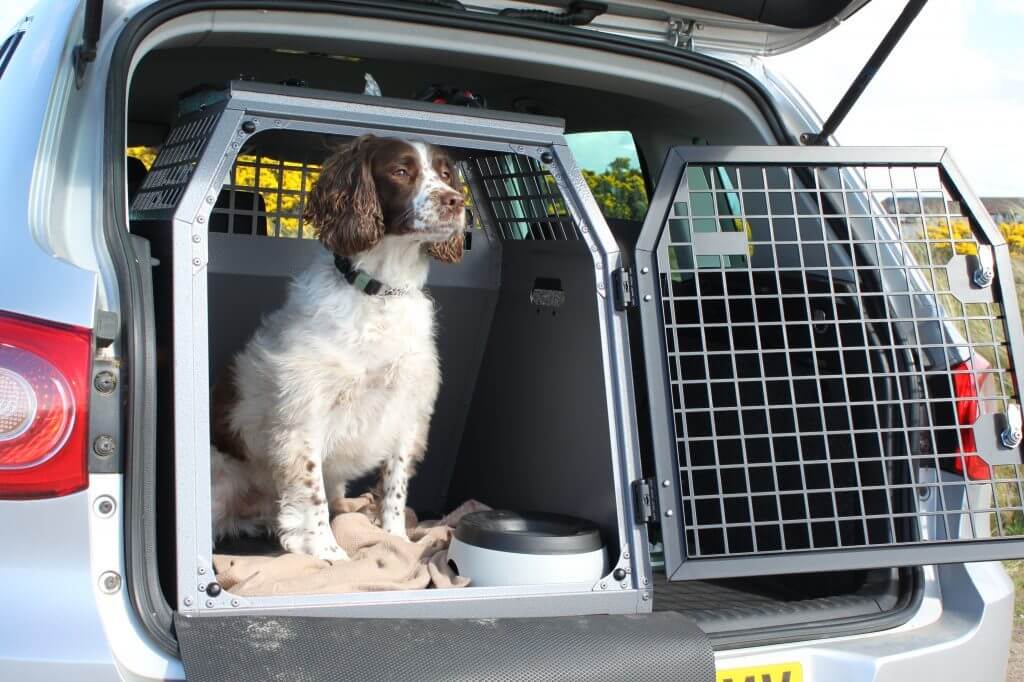 Rear seat dog store cage